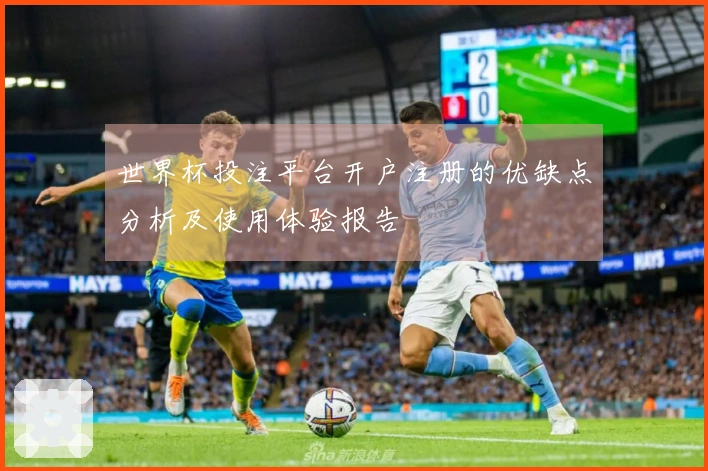 世界杯投注平台开户注册的优缺点分析及使用体验报告
