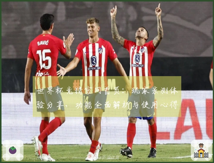 世界杯竞猜官网首页：玩家亲测体验分享，功能全面解析与使用心得