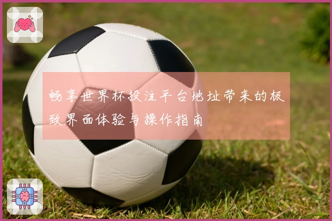 畅享世界杯投注平台地址带来的极致界面体验与操作指南