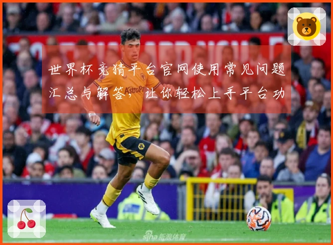 世界杯竞猜平台官网使用常见问题汇总与解答，让你轻松上手平台功能
