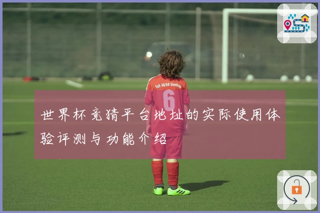 世界杯竞猜平台地址的实际使用体验评测与功能介绍