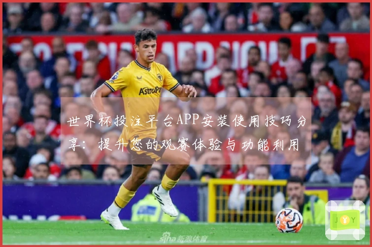 世界杯投注平台APP安装使用技巧分享：提升您的观赛体验与功能利用