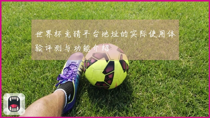世界杯竞猜平台地址的实际使用体验评测与功能介绍
