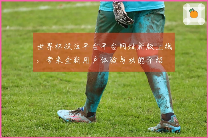 世界杯投注平台平台网址新版上线，带来全新用户体验与功能介绍