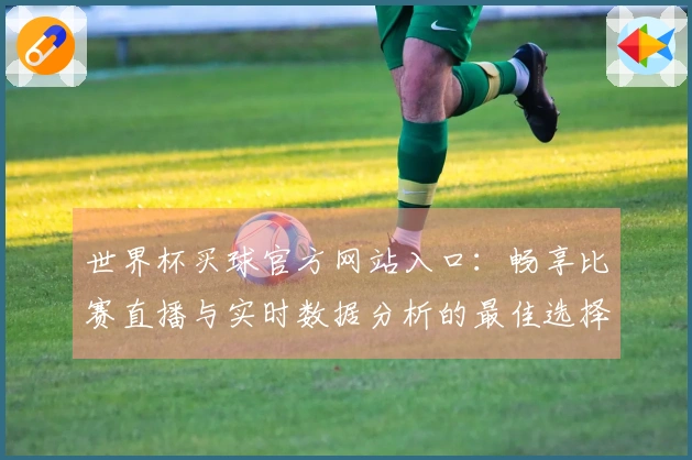 世界杯买球官方网站入口：畅享比赛直播与实时数据分析的最佳选择